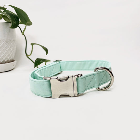 "Mint" Collar