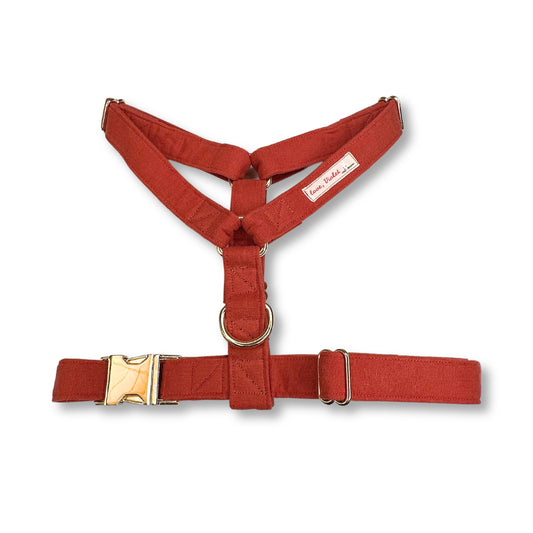 Picante Harness