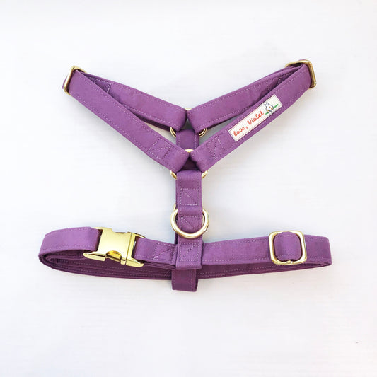 "Amethyst" Harness