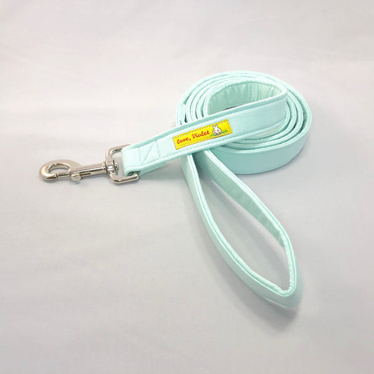 "Mint" Leash