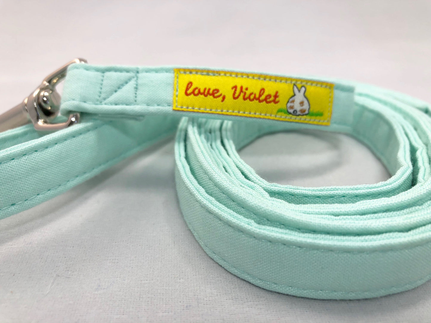 "Mint" Leash