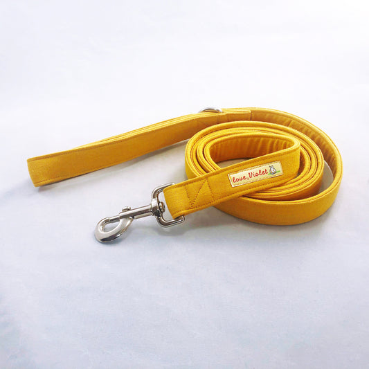 "Goldilocks" Leash