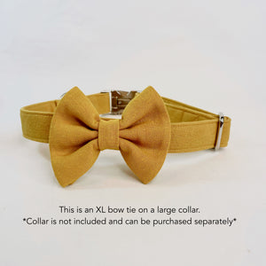 Goldilocks Bow Tie