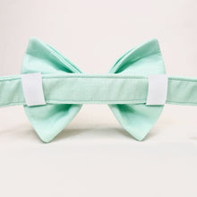 "Mint" Bow Tie
