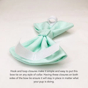 "Mint" Bow Tie