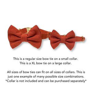 Picante Bow Tie