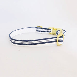 "Hampton" Collar