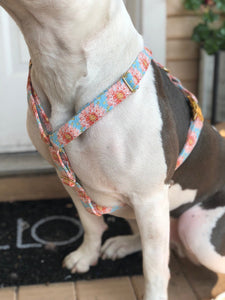 "Garden Party" Harness