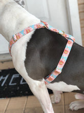 "Garden Party" Harness