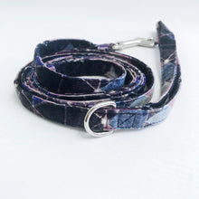 "Galaxy" Leash