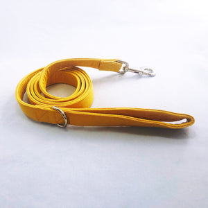 "Goldilocks" Leash