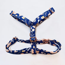 "Maxine" Harness