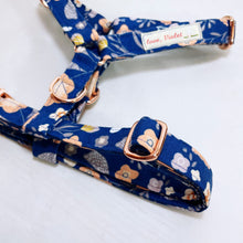 "Maxine" Harness
