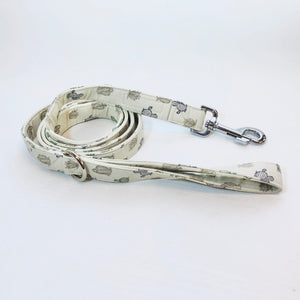 "Mesa Verde" Leash